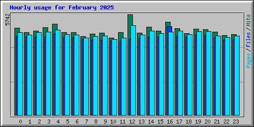 Hourly usage for February 2025