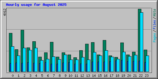 Hourly usage for August 2025