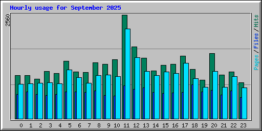 Hourly usage for September 2025