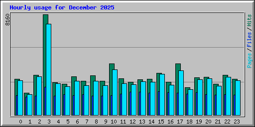 Hourly usage for December 2025