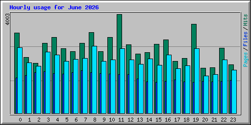 Hourly usage for June 2026